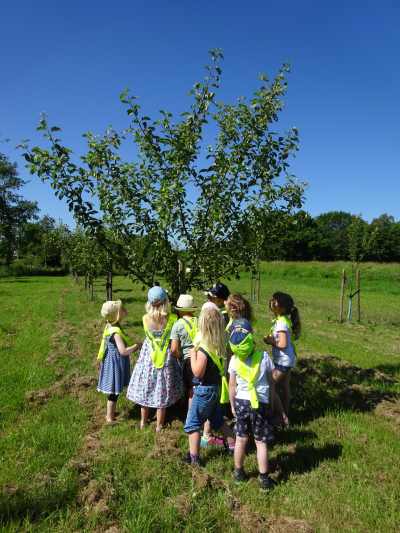 obstbaumwiese2.jpg