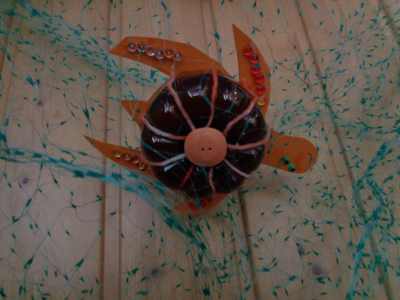 schildkroeteimnetz.jpg