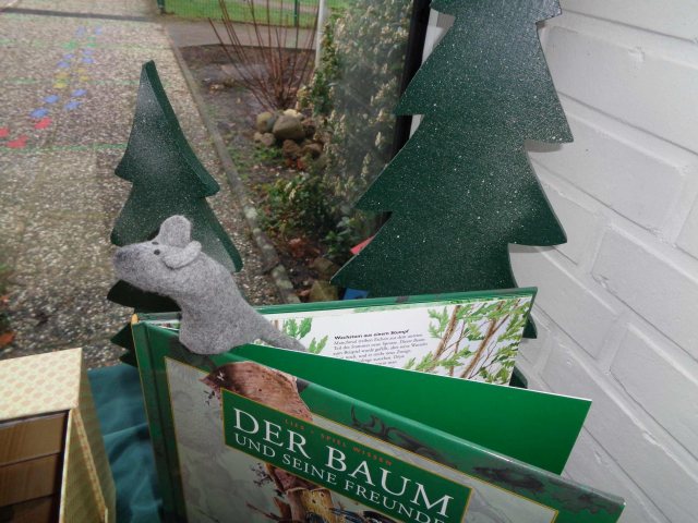 schautausfenster.jpg