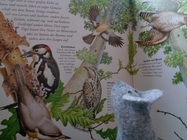 voegelimbaum.jpg