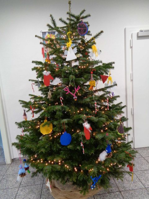 volksbankbaum.jpg